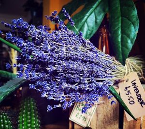 Fresh and dried flowers, houseplants and herbs available for sale. at Curran Geal in Edinburgh
