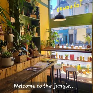 Houseplants for sale x at Curran Geal in Edinburgh