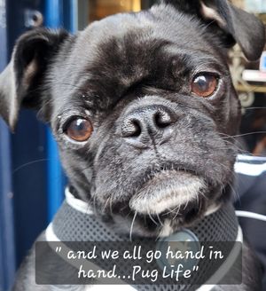 We ❤️ pups! at Curran Geal in Edinburgh