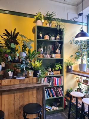  at Curran Geal in Edinburgh