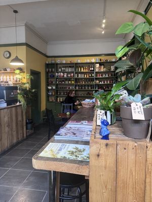 Maisie   at Curran Geal in Edinburgh