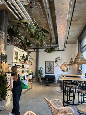   at Green Gorilla Cafe in Morges