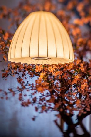 Refined Beauty at KUSAKI in Brighton