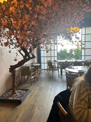   at KUSAKI in Brighton