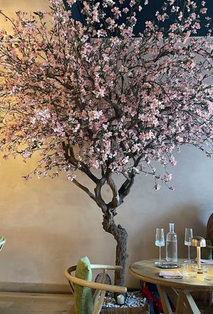   at KUSAKI in Brighton