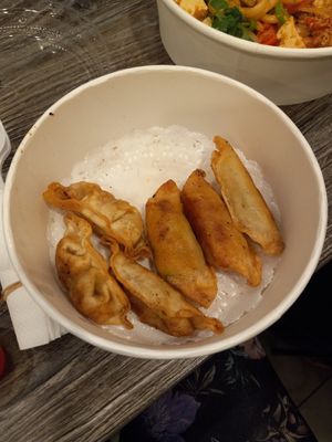Fried dumplings at O Dumpling Bar in Anaheim