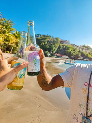 Single Serve Kombucha! at It's Alive Bakery & Fermentory in Rodney Bay