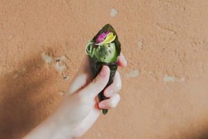  at AWOMB Nishikiyamachi in Kyoto