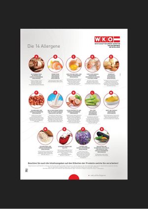 Allergens legend  at Lily's Kitchen in Linz
