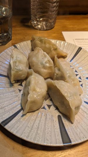 Vegetarian dumplings at Mr Wang in Santander