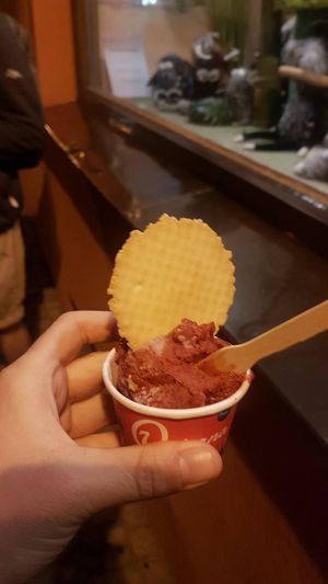 Berry sorbet at Am Rathaus in Fuessen
