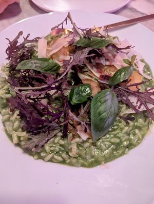 Rissotto at Gia in Toronto