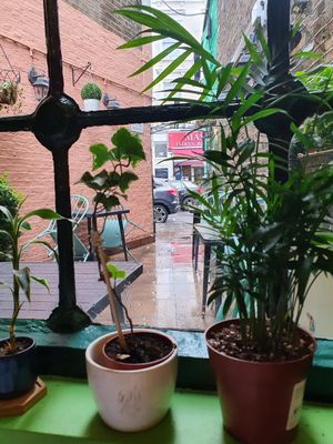 View at Mali Vegan Thai in South West London