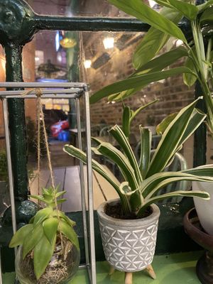   at Mali Vegan Thai in South West London