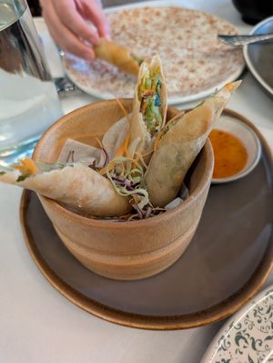 Spring rolls at Mali Vegan Thai in South West London