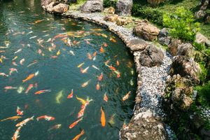 Garden at Mat Su Cha Kei - 松茶榭 in Kowloon