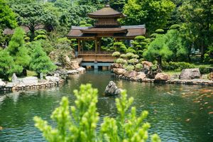 Garden at Mat Su Cha Kei - 松茶榭 in Kowloon