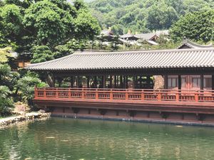Garden at Mat Su Cha Kei - 松茶榭 in Kowloon