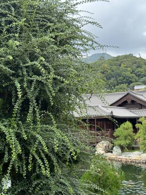   at Mat Su Cha Kei - 松茶榭 in Kowloon