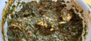 Tasty Palak paneer at Yummy India in Chiang Mai