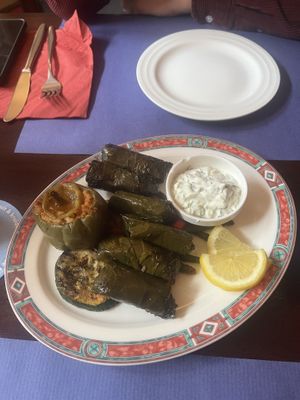 All vegan dolma and tsaziki  at Tekinev in Groningen