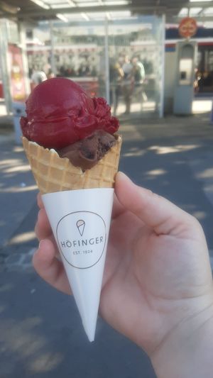  at Hoefinger Eis in Salzburg