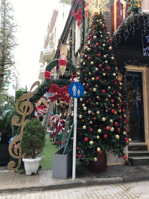 Pretty Little Kook outdoor decor at Little Kook in Athens