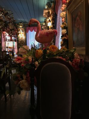 Flamingo! at Little Kook in Athens