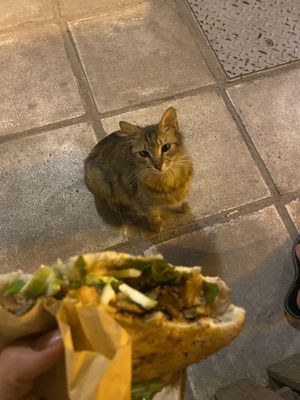 Salentina Mushrooms vegan  at Salento in Thessaloniki