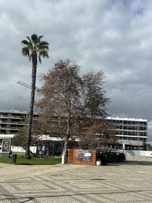 Pity about the new development behind it spoiling the vista   at Munich in Lagos