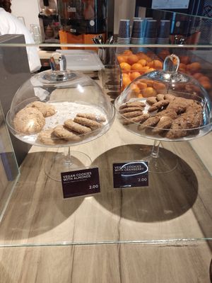  at FCO - Natoo in Fiumicino