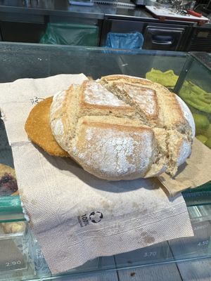 Plant based cutlet sandwich   at FCO - Natoo in Fiumicino