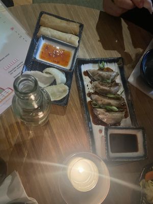 Springrolls and gyoza’s   at Veganees in Amsterdam