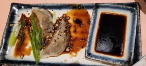 Gyoza at Veganees in Amsterdam