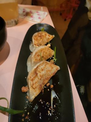 Gyōza at Veganees in Amsterdam