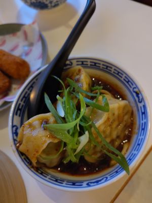 Wantans at Veganees in Amsterdam