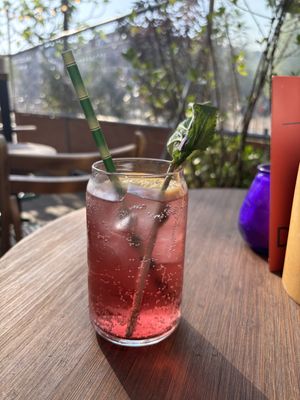   at Veganees in Amsterdam