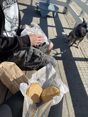 Plain bagel with plain tofutti spread and everything bagel with famous hummus spread    at The Bagelry in Santa Cruz