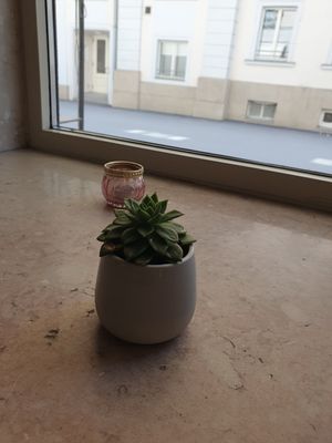  at Dean & David - Makartplatz in Salzburg