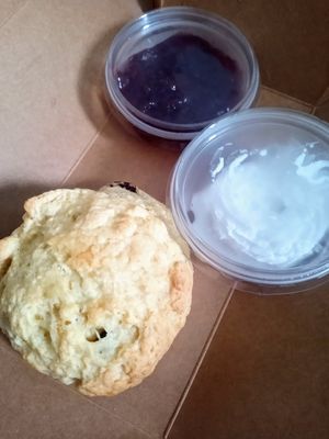 Vegan scone at Hollands at Holcombe in Ramsbottom