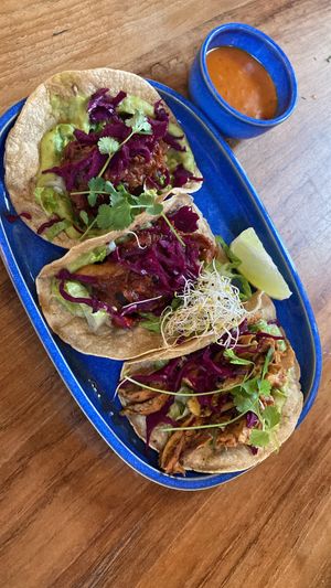 Jackfruit tacos   at Enchilada in Karlsruhe
