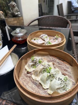 Dumplings   at Dim Sum Spot Palackého in Prague