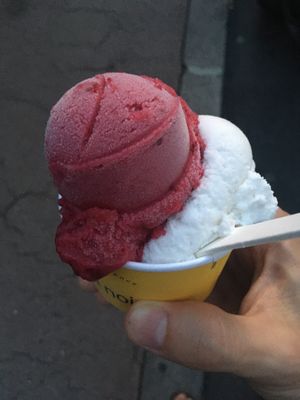 Flavors: Coconut and Peche de Vigne, both very good   at Glacier Vanille Noire in Marseille