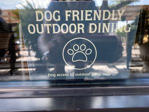 Yea!! Dogs on patio!! at La Crosse Distilling Co in La Crosse