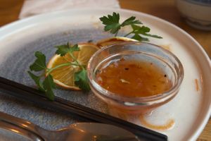the super tasty sweet and sour sauce at The Butterfly Lovers in Berlin
