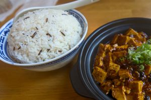 Mapo tofu with vegan minced meat at The Butterfly Lovers in Berlin
