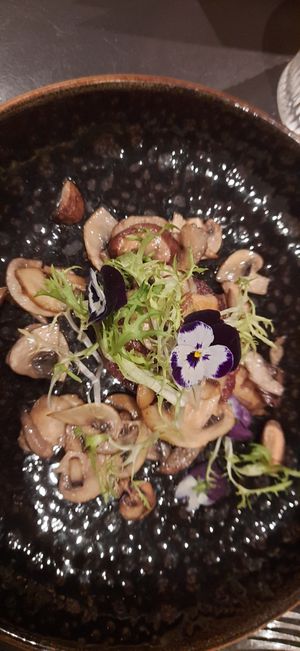  at De Brasserie in Meppel