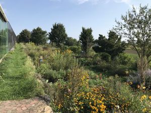 Ausblick von der Terrasse at Andreashof Jeridin in Uberlingen