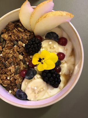   at Peacock in Toulouse