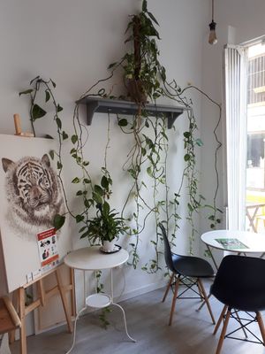 Inside at REVIV in Malaga